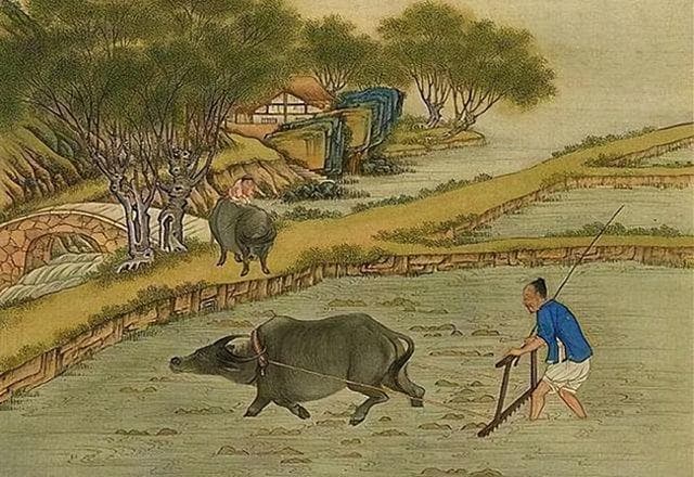 古人所谓民本，绝不可将其与现代民主相提并论！