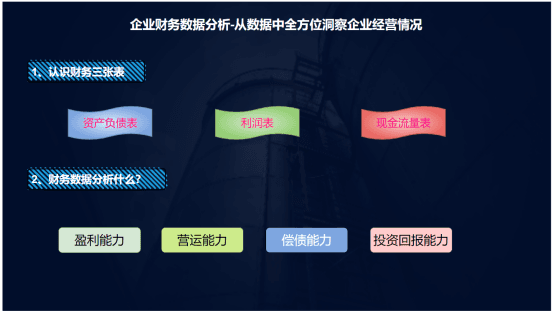 企业数据分析-偿债能力分析