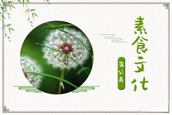 蒲公英的功效与作用：清热解毒，消肿散结，利尿通淋