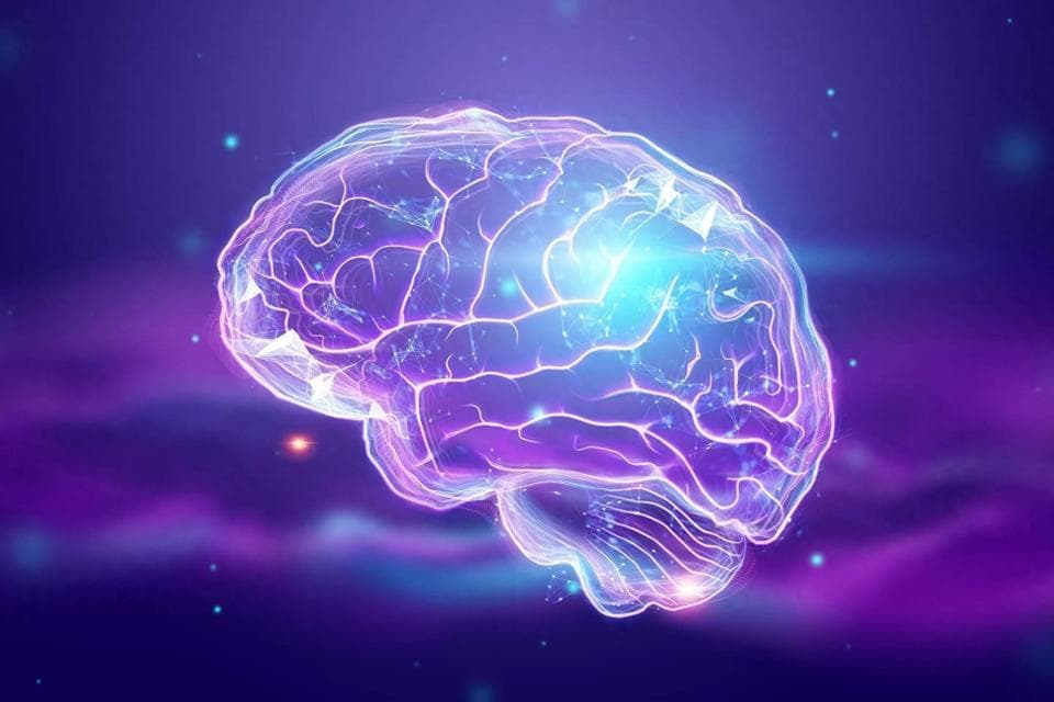 科学家发现胆碱进入大脑的关键通道，为神经疾病治疗带来新希望