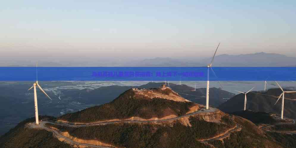 海南高铁儿童票购买指南：线上线下一站式攻略