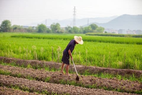 土地确权后家庭成员怎样分配