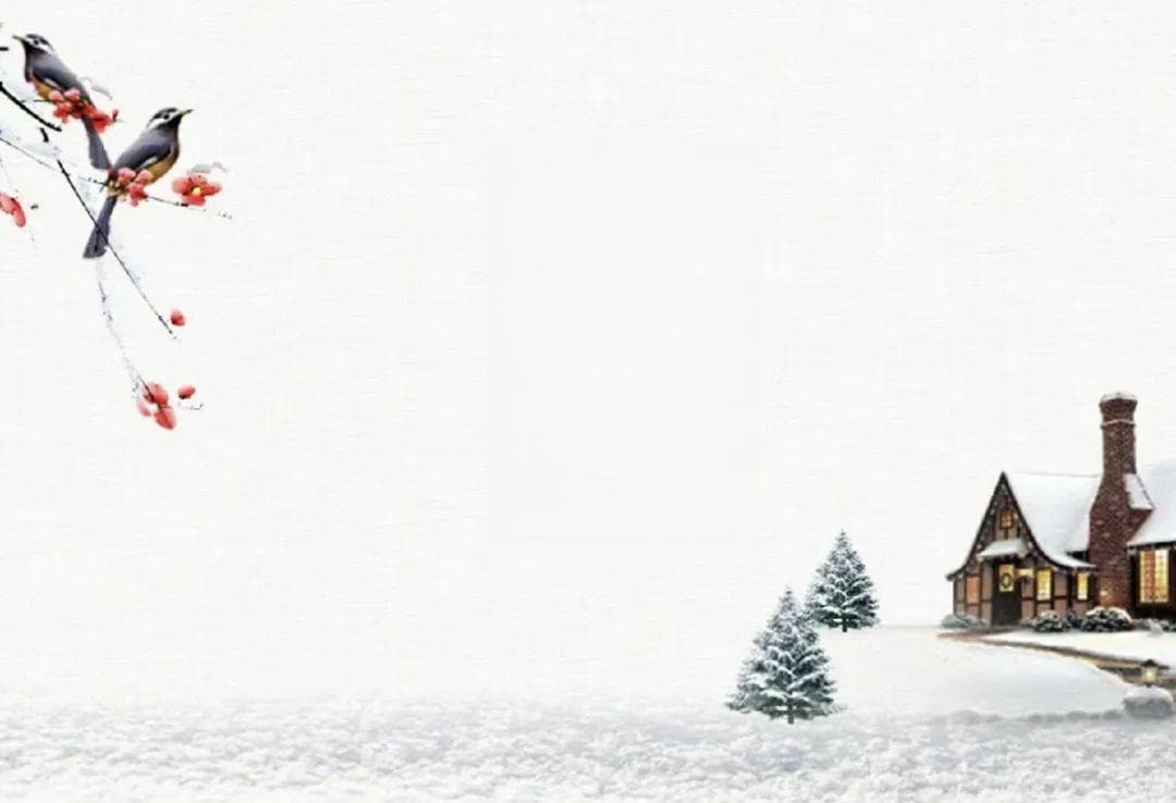 今日小寒：年味渐浓，游子思归，守一冬飞雪，盼一世安好