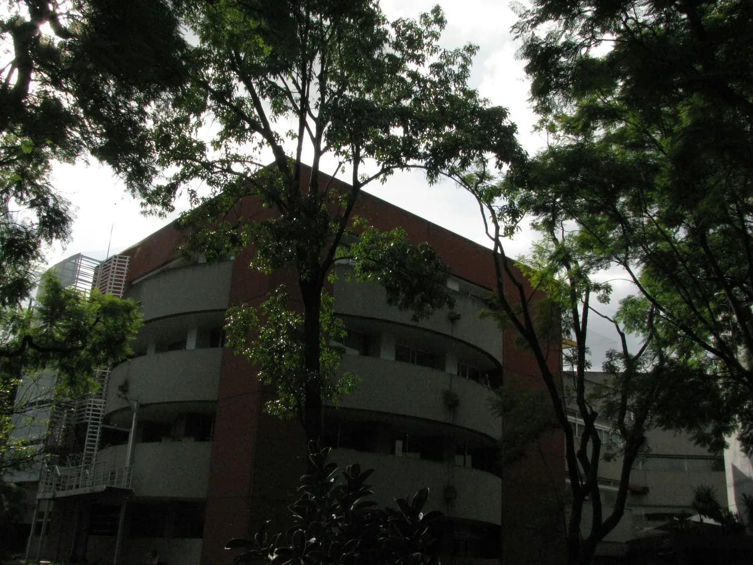中南大学特色专业全解析：8个A+专业领跑全国，多学科领域优势显著