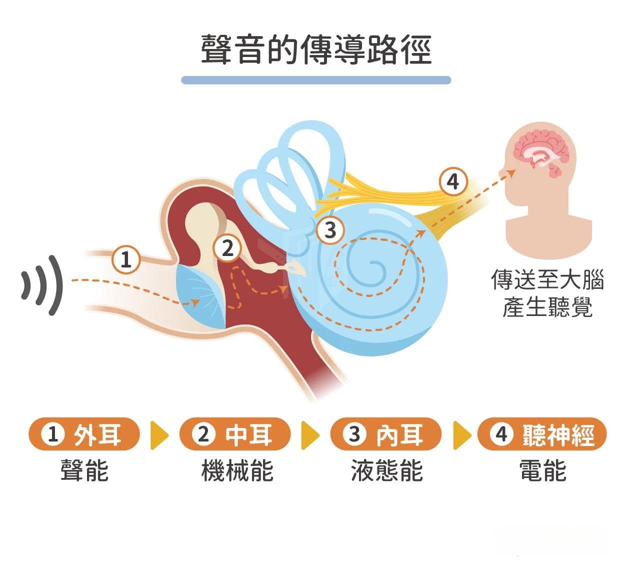 中耳炎会自己好吗？中耳炎症状、治疗、手术一次看