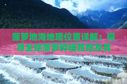 菠萝种植胜地详解：探寻全球菠萝种植大国及其周边特色