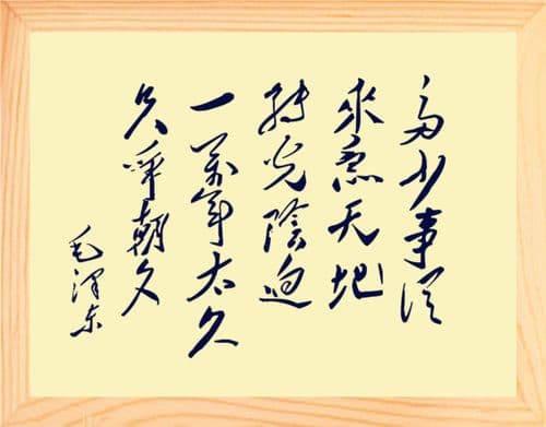 一万年太久只争朝夕：珍惜当下，把握每一刻的辉煌
