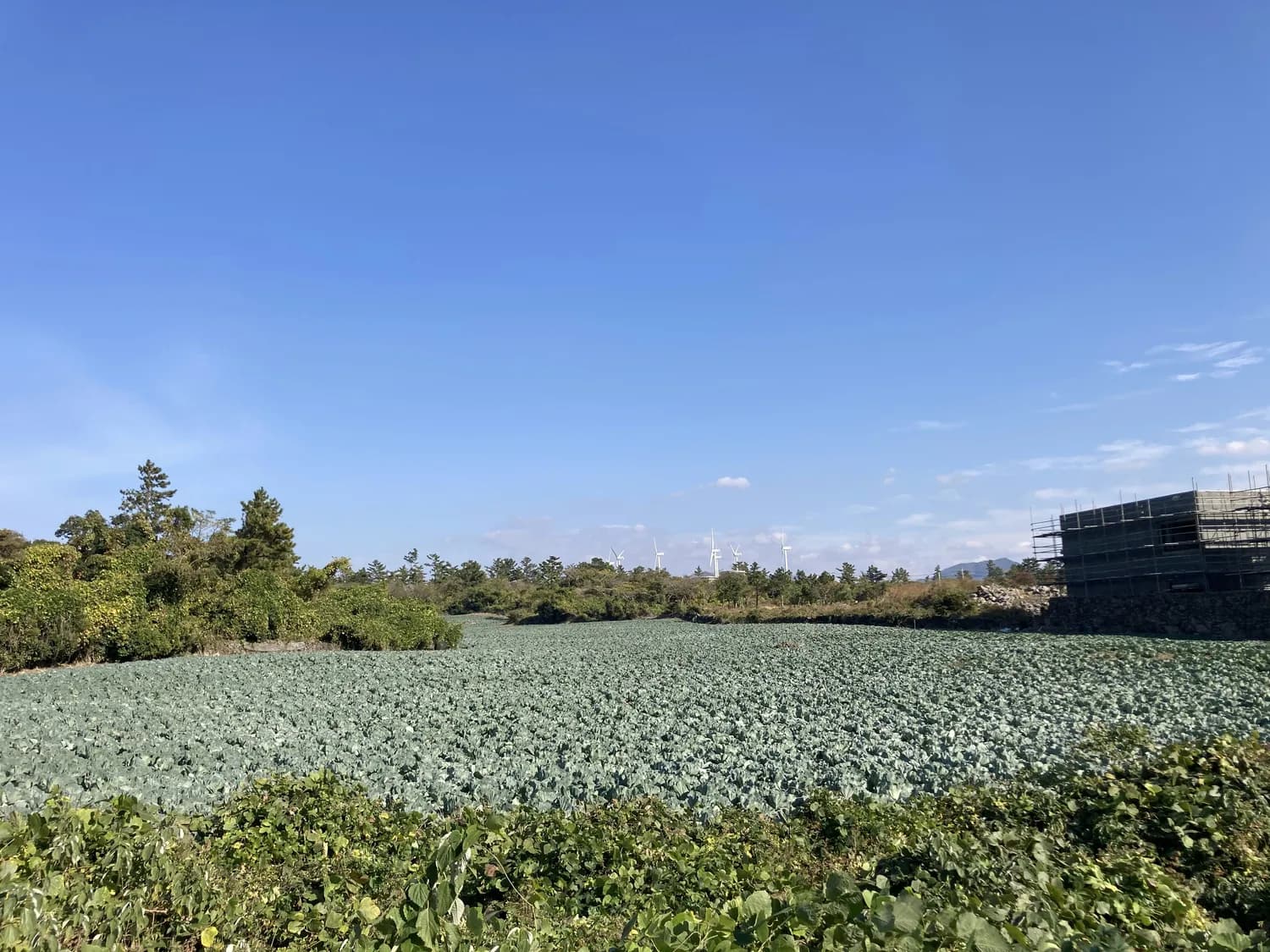 苏州震泽古镇：元旦免费畅游蚕桑文化园，亲子游首选