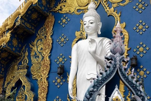 什么是十神、六亲