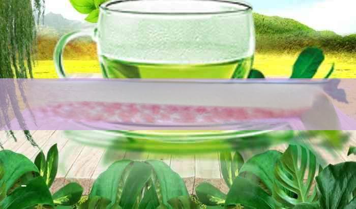 探究普洱茶的独特魅力：为何余味甘甜持续至次日