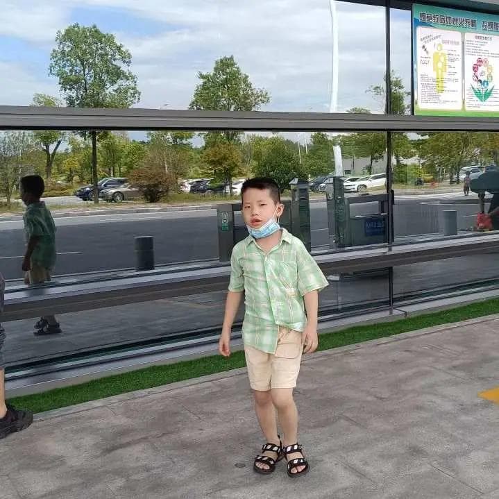 牙签桥：一个简单的物理实验