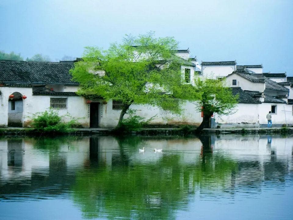 9首诗词：在文字中找到心灵栖息地