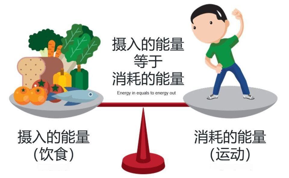 为什么拼命运动还不瘦？小心「能量补偿」这个坑