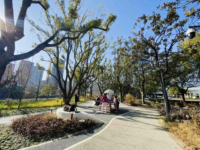 让居民开门见“景” 浦东花木街道以“绿”破题