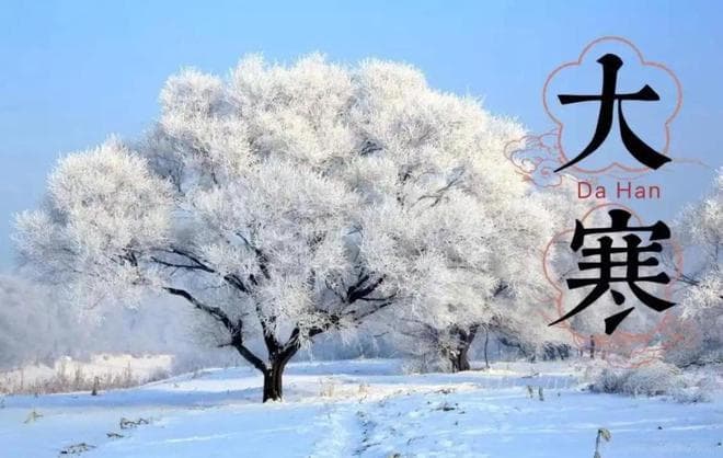 大寒节气养生指南：5种食材搭配食谱，温暖过冬