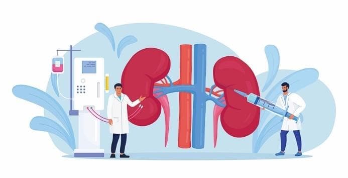 探秘肾脏替代治疗——肾移植