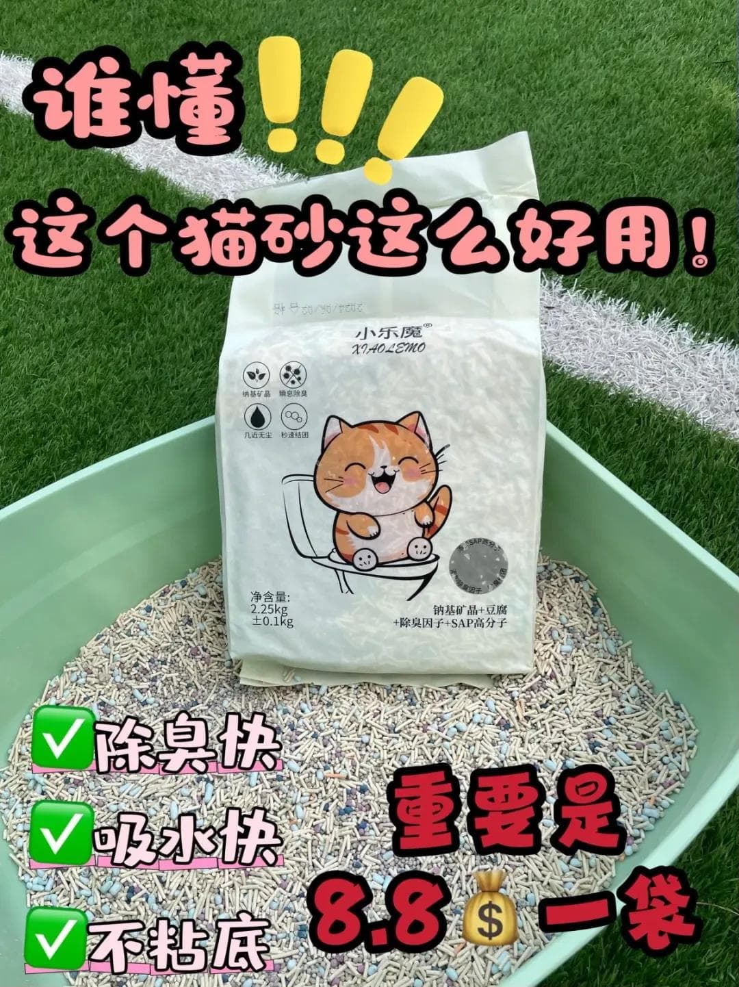 精选内容集|猫砂测评大揭秘 如何选择最适合你家猫咪的猫砂