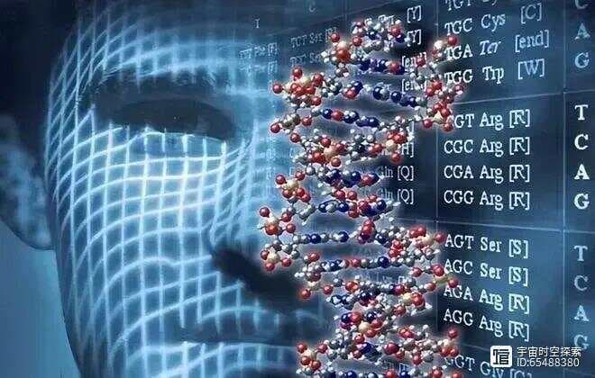 宇宙万物都会走向终结，为何大自然没有进化出永生的生命体？