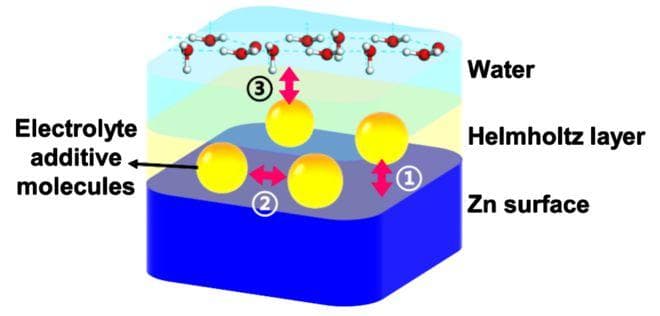 乔世璋团队提出分子分区策略，实验数据可直接预测水系锌电池性能