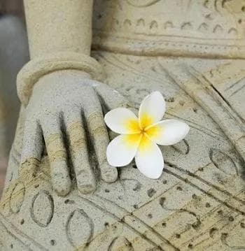 吕梁寺庙安国寺：千年古刹的建筑艺术与历史文化