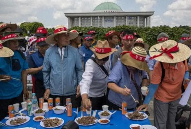 一年吃掉1亿斤狗肉！有全球最大狗肉市场，韩国为啥执着于吃狗肉