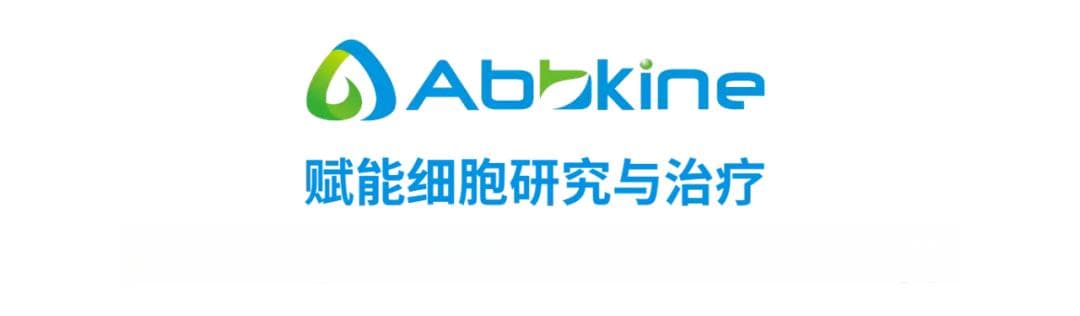 细胞毒性检测试剂盒（乳酸脱氢酶法）实验操作步骤