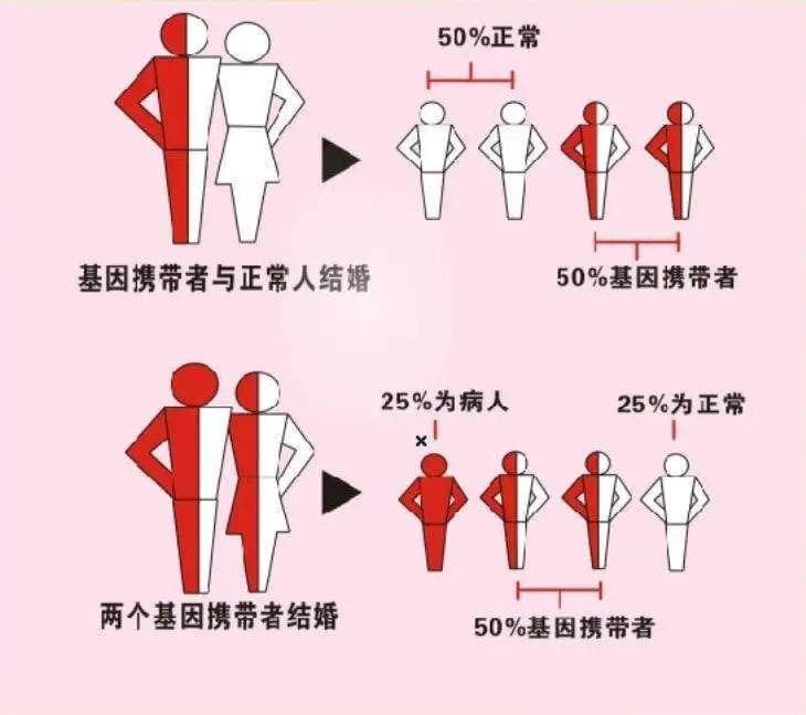 预防严重出生缺陷，你必须了解的关于地中海贫血的13个知识
