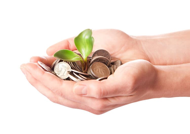 金融可持续性与可持续金融