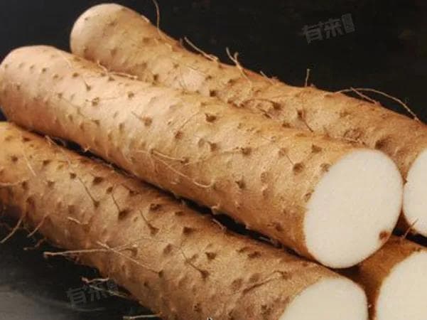 山药过敏最快的止痒方法