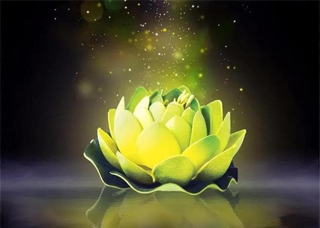 为何佛教爱用莲花而不是荷花？莲代表什么？