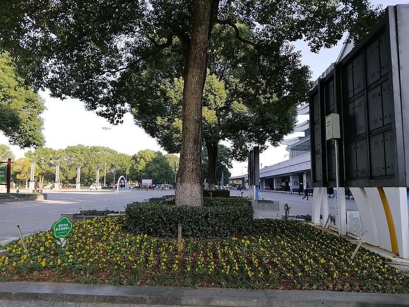 恒生科技ETF与恒生指数ETF：多维度对比分析
