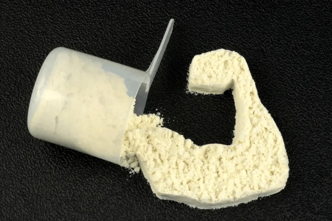健身的您，蛋白粉选对了吗？