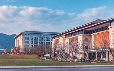 学生在学校坠亡,学校应当承担什么责任