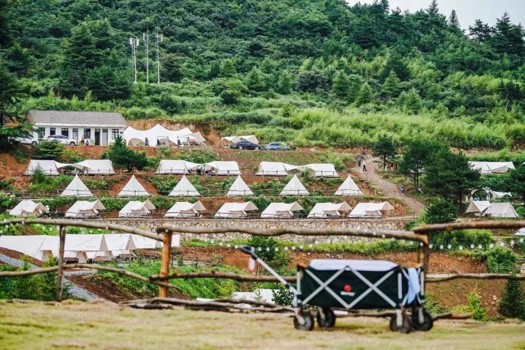 【郊野露营】从隐秘到网红！揭秘临安必去的六大露营胜地