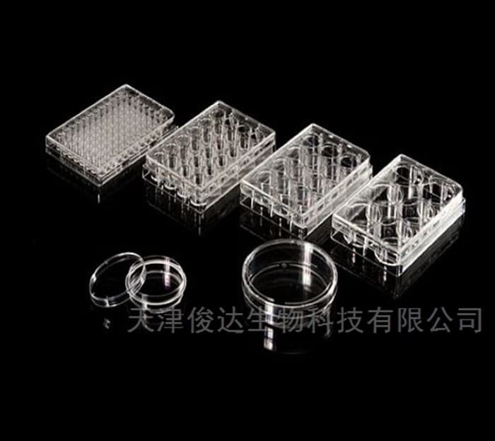 揭示细胞行为：探索6孔细胞培养板的多用途
