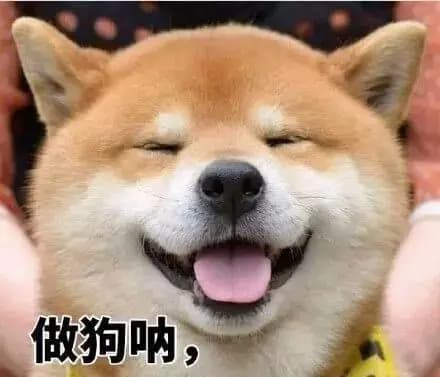 “寿命长”的狗，通常都有这几个特征，希望你家狗都有！