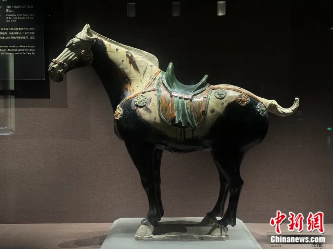 一匹“三彩黑釉马” 竟是丝路文明交流的见证者？