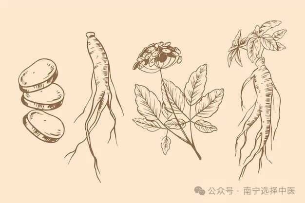 人参最怕五灵脂？