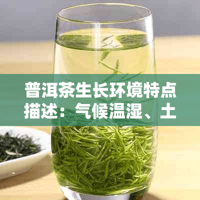 普洱茶生长环境特点描述：气候温湿、土壤肥沃与地形多样