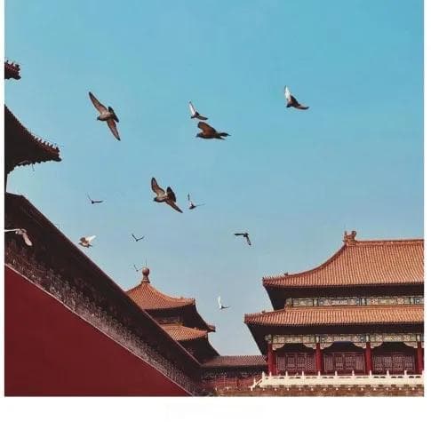 古代设计思想对现代美学设计的影响分析