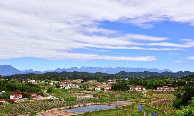 正科级，普通人的“天花板”？基层公务员的真实生活揭秘