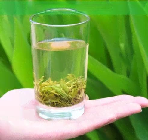 哪种茶是酸性：茶的酸碱性对比分析