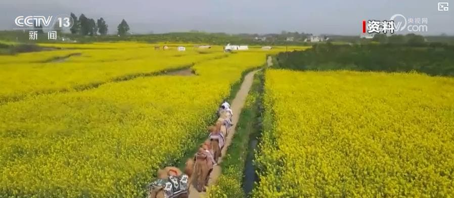 供需结构改善 政策效应凸显 3月价格数据变化释放经济暖流