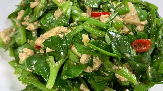 这菜全身是宝，可惜很多人当草，比荠菜韭菜还营养，不懂吃真可惜