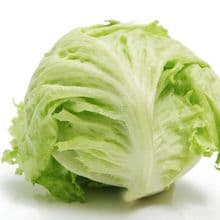 球生菜：从种植到收获的全面指南