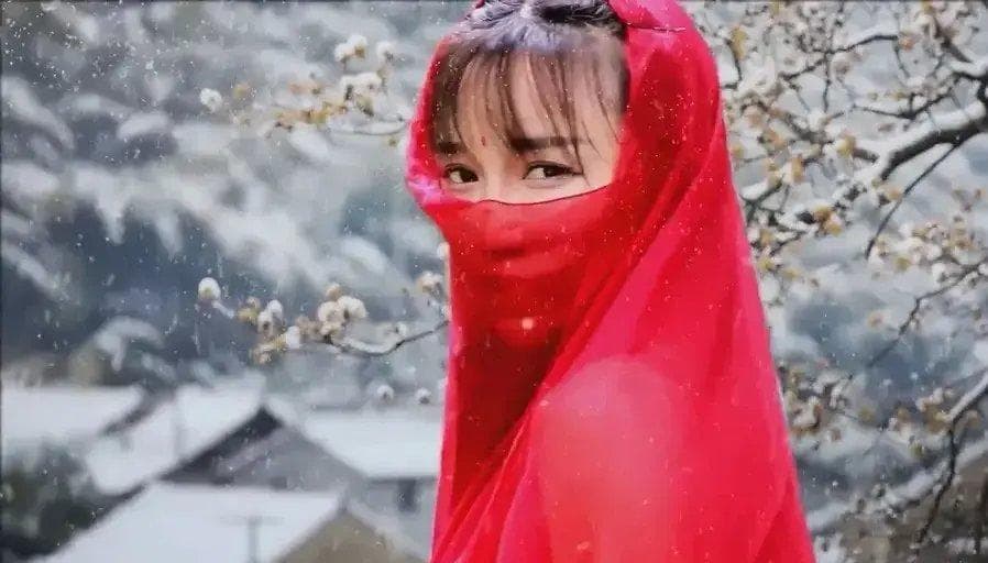 李子柒走红海外：三个文化密码解读她的全球吸引力