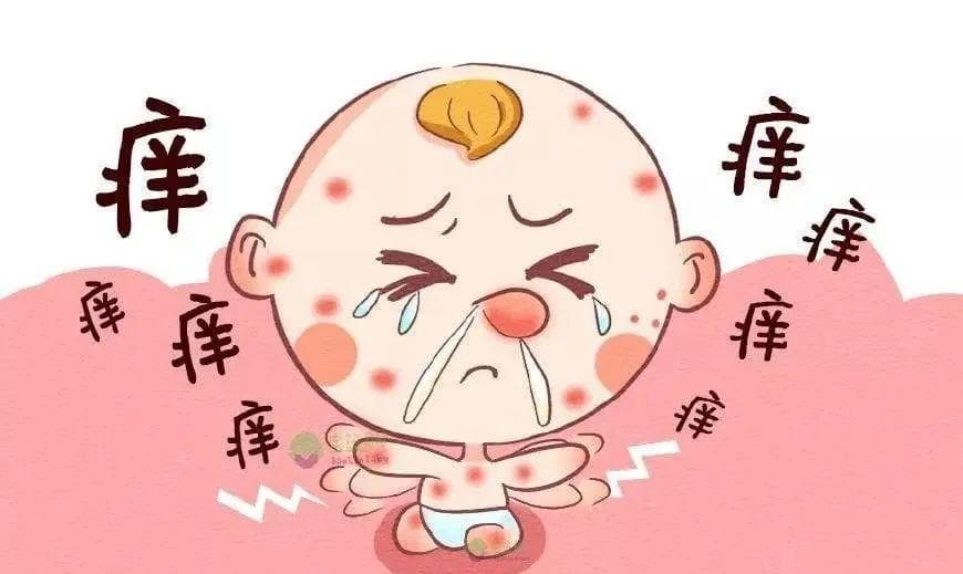过敏到底会不会引起发烧？
