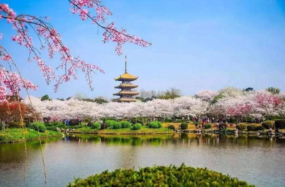 武汉：物价亲民的省会城市，5块钱就能吃饱，景点几乎全免费