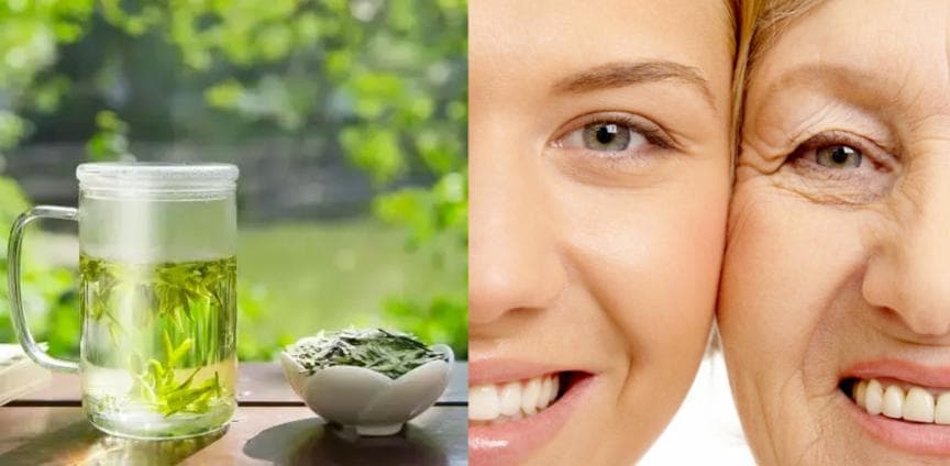 绿茶中的护肤奇迹：儿茶素EGCG如何成为你的抗衰老秘密武器