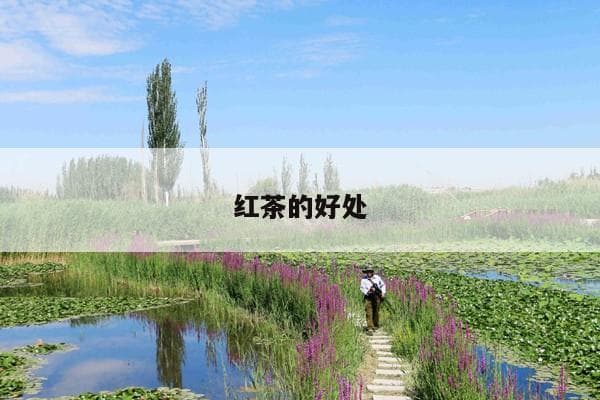 红茶的十大好处